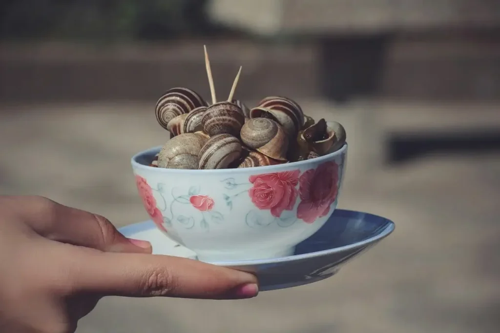 Snails (Babbouche)