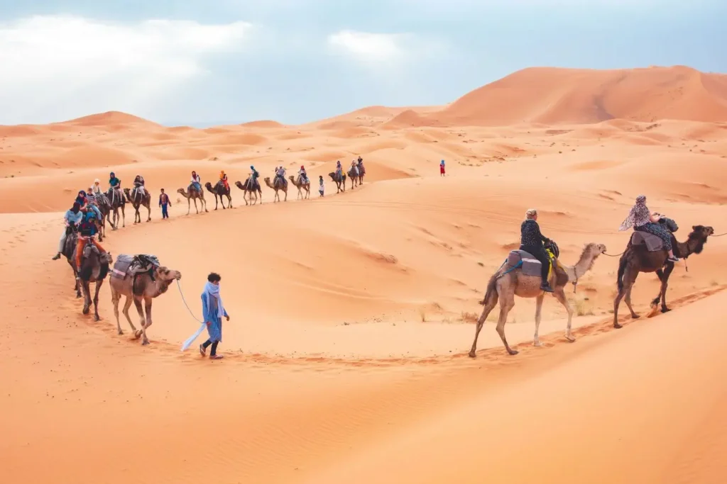 camel trekking sahara